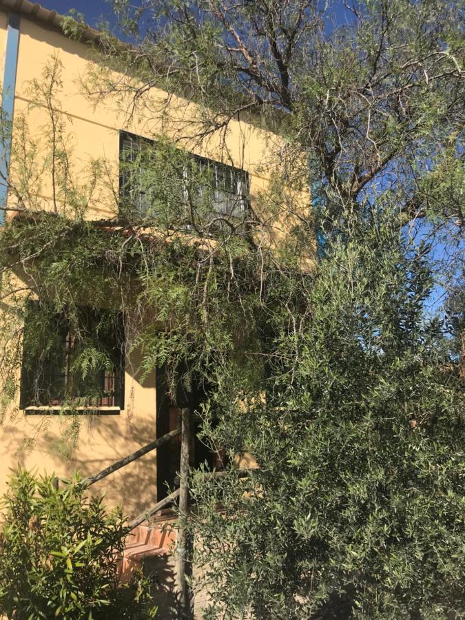 Casa Rural “Las Espinosas” فيلانويفا ديل ترابوكو المظهر الخارجي الصورة
